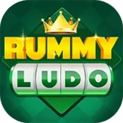 Ludo Pro